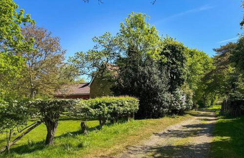 Wade Hall - Photo 31