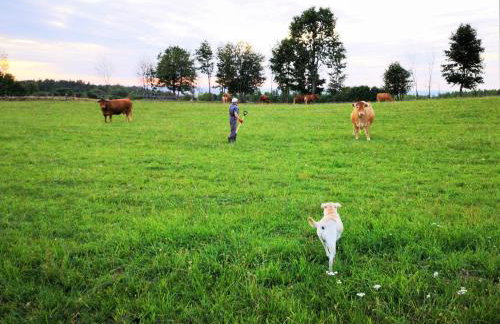 Dylewianka - Foto 49