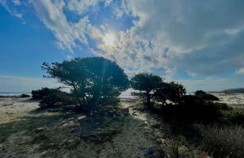 APPARTAMENTO LA CALETTA VACANZE - Foto 13