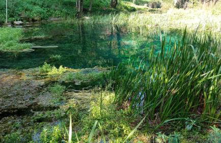 Three Little Birds Artists Residence - Foto 62