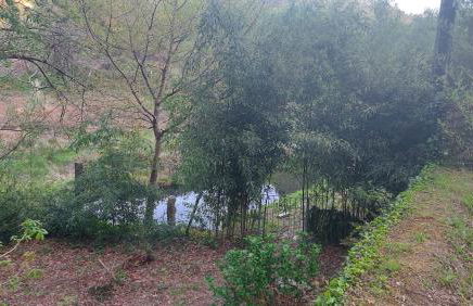 Moinho do Formigal - Foto 51