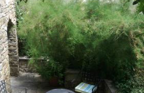 Apartment Stella - Foto 28