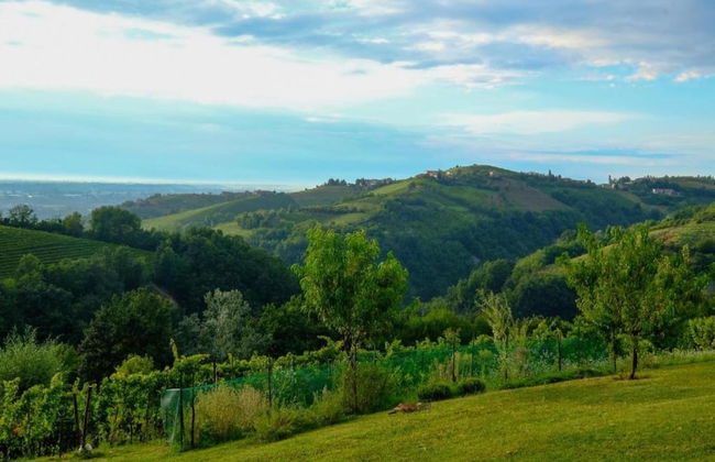 Studio in Bastia Mondovi With Pool and Winery - Foto 20