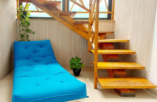 Flores de Juquehy - Foto 20