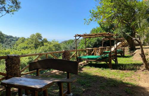 Filoxenia Olive Garden luxury villas and suites - Foto 58