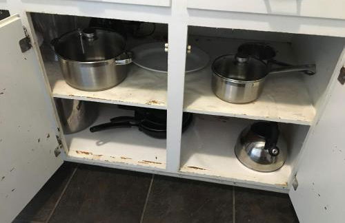 Enchanting Forestwood Retreat - Foto 43