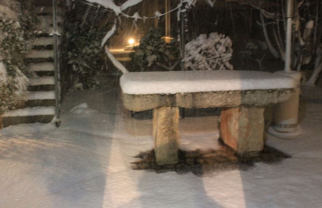 Le due Palme - Il Paradiso di Adamo - Photo 44