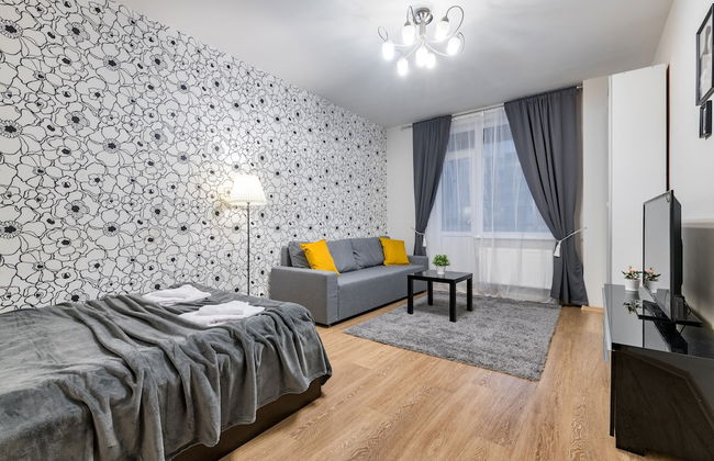 One Bedroom Great View Apartment near Gazprom Arena, UEFA 2022 - Foto 6
