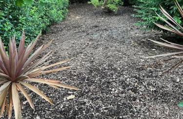 Richmond Hill Cottage Markington - Photo 21