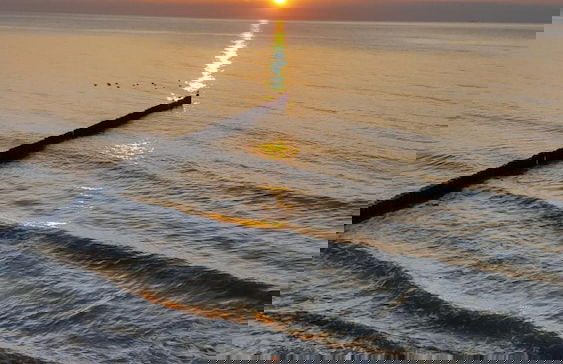 Captain Pahlen Ferienanlage - Foto 31