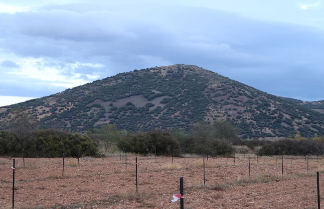 Agroturismo la finka - Foto 24