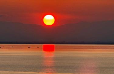 Baobloom by the sea in the heart of Thessaloniki - Foto 7