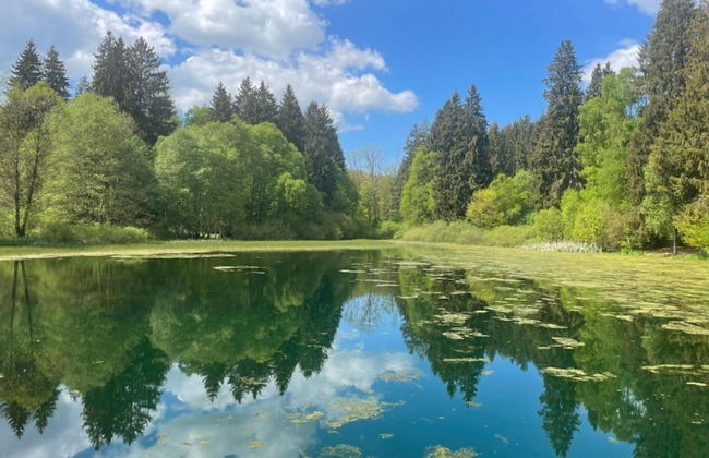 Bungalow im Feriendorf Uslar mit Gartenterrasse - Foto 26