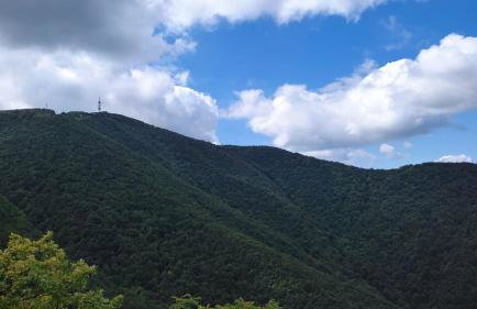 Apartment Barbara - Foto 25