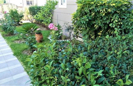 Maria's Rose Garden - Photo 31