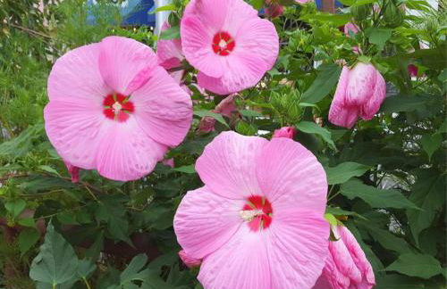 Play All Day - Sleep By The Stream at Night - Swimming Hole - Foto 31