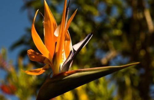 Luxurious apartment close to Puerto Banus - Photo 66