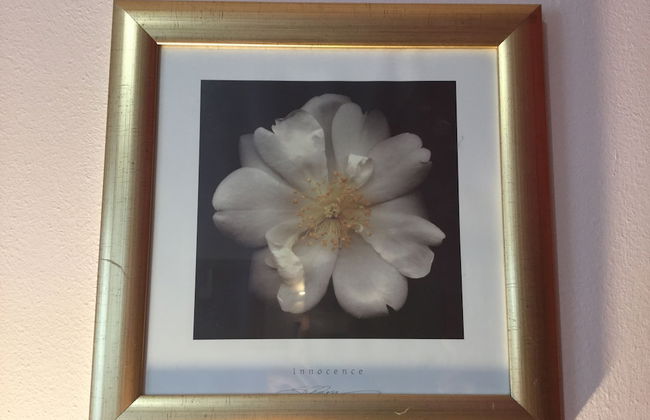 Inverness Apartments - Courtyard - Photo 12