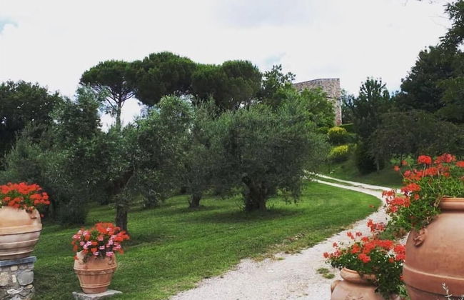 Podere Vitiano - Foto 28