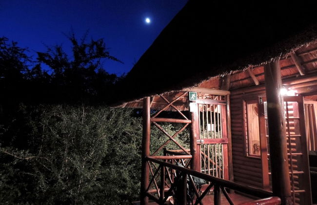 Lion Tree Bush Lodge - Foto 33