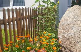 Ferienwohnungen "Godewind", Appartements mit Balkon oder Terrasse - Foto 19