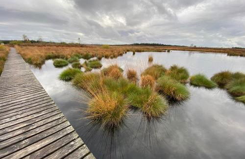 Schiller Ferienwohnung, Pool, Nideggen, Eifel - Foto 60