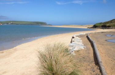 Oystercatcher, Pityme - Foto 20