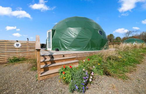 'The Bear Dome' with Barrel Hot Tub in Franklin - Foto 23