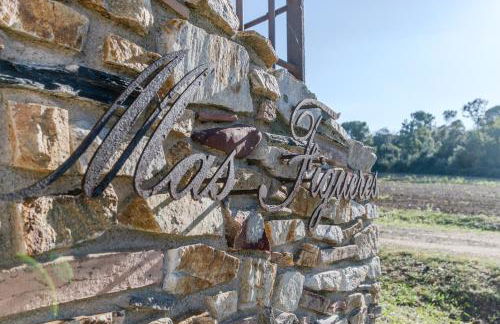 Más Figueres - Foto 24