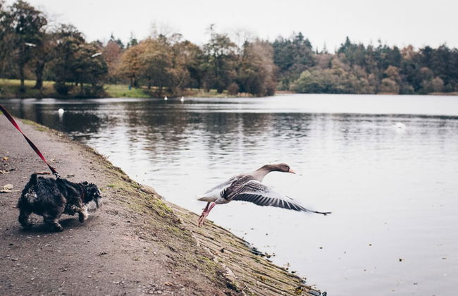 Bay Tree Cottage - Foto 46