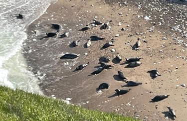 Newton house - Foto 39