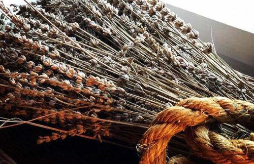 Authentic Vila Nona by NYC Interior Architect - Foto 25