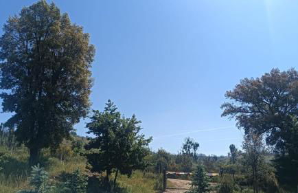 Quinta D' LuzArcoIris - Foto 45