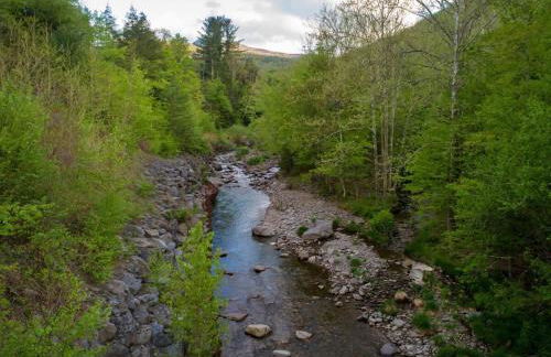 Private Cabin by River with Fireplace - Foto 28