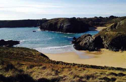 Bel appartement centre Le Palais - Photo 29