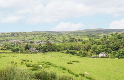 Llys-y-Wennol - Foto 22