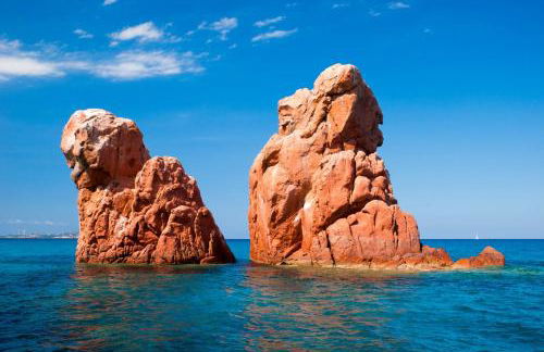 Orchid House - Foto 8