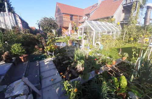 Ferienwohnung-Rotmoosblick-direkt-am-Rande-unberuehrter-Natur - Foto 32