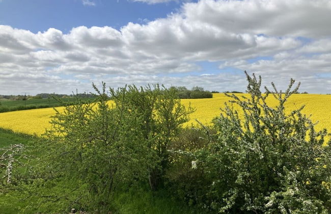 Ostseeliebe Flensfjord - Foto 28