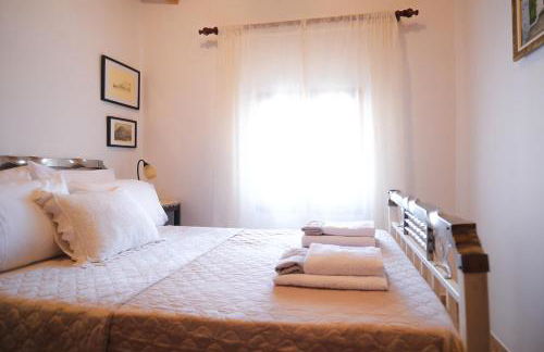 Olive Roots - Foto 43