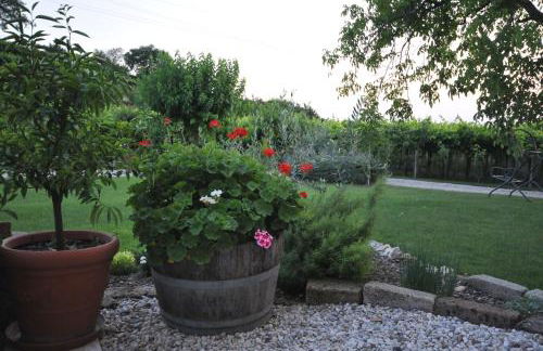 Agriturismo Corte Albarel - Foto 22