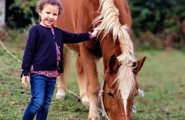 Verde Água Agroturismo e Agricultura Biológica - Photo 13