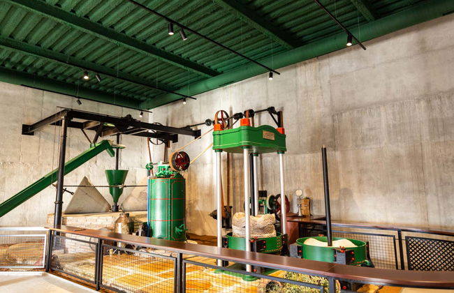 Visita a la fábrica y museo de Aceites Molisur con cata - Foto 6