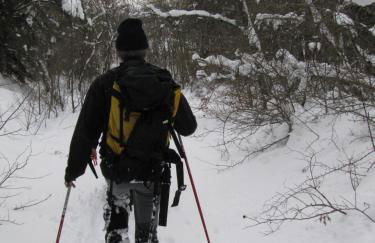 Chalets Shangrila - Foto 29