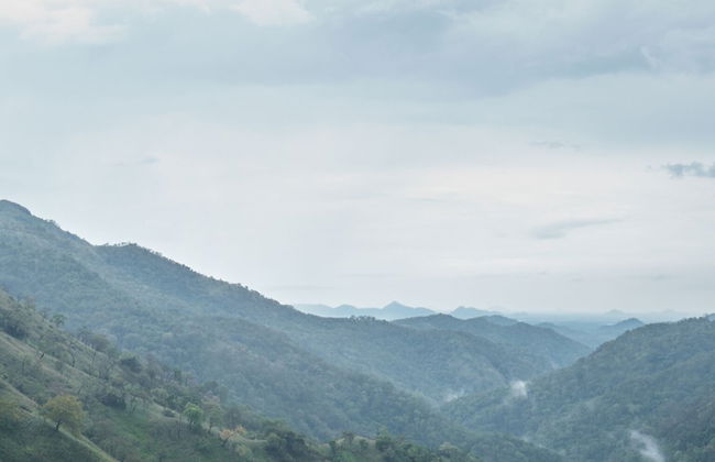 Ella Mount Heaven Hotel - Photo 20