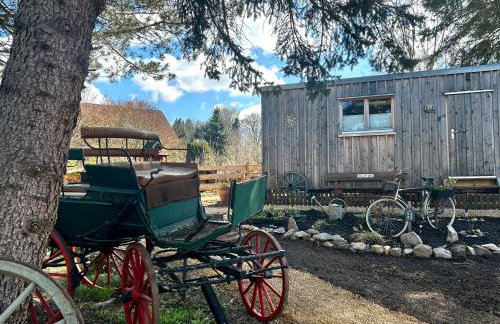 Herbert's Naturpark-Cottage "Alte Gärtnerei" - Ferienidyll im Naturpark Zittauer Gebirge - Foto 20