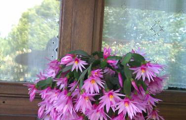 Casa Rural Ablanos de Aymar - Foto 40