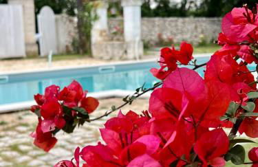 Villa Encantamiento - Dimora Gelsomino - Masseria Storica nel cuore della Puglia con piscina - Foto 69