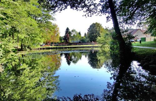 Hennen-Nest - Foto 25