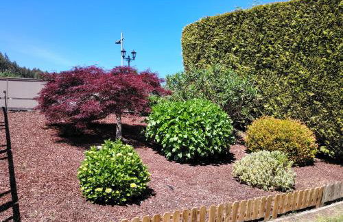 Finca O Loureiro - Foto 15